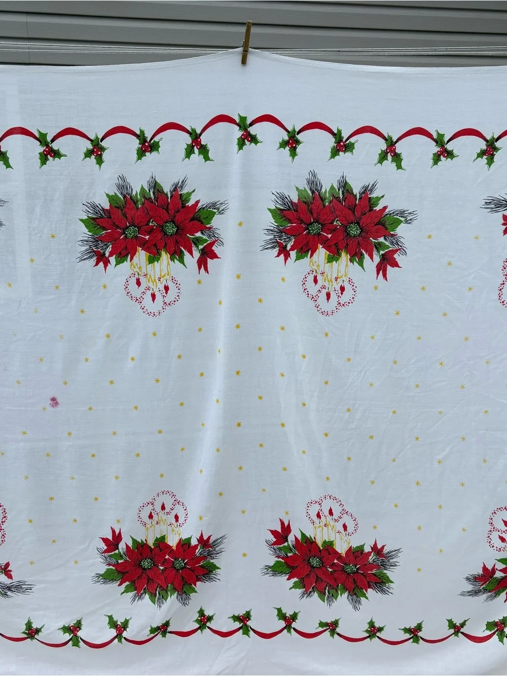 Holiday Poinsettia Throw Blanket - Red and Green